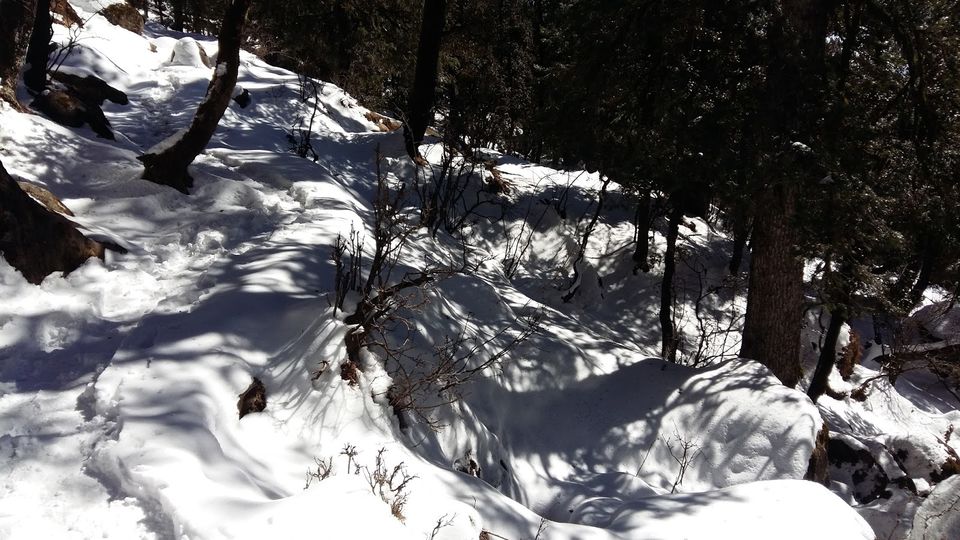 Photo of Churdhar_Amateur_Snow Trek ☃Outer Himalayas 13/18 by Gautam