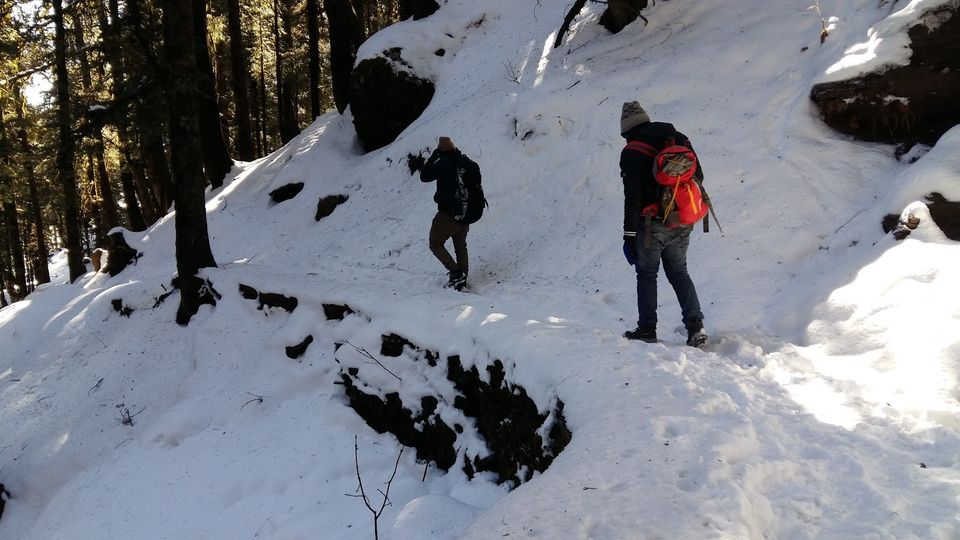 Photo of Churdhar_Amateur_Snow Trek ☃Outer Himalayas by Gautam