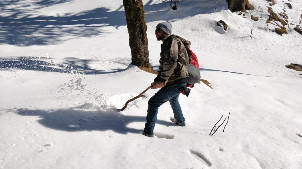 Photo of Churdhar_Amateur_Snow Trek ☃Outer Himalayas 18/18 by Gautam