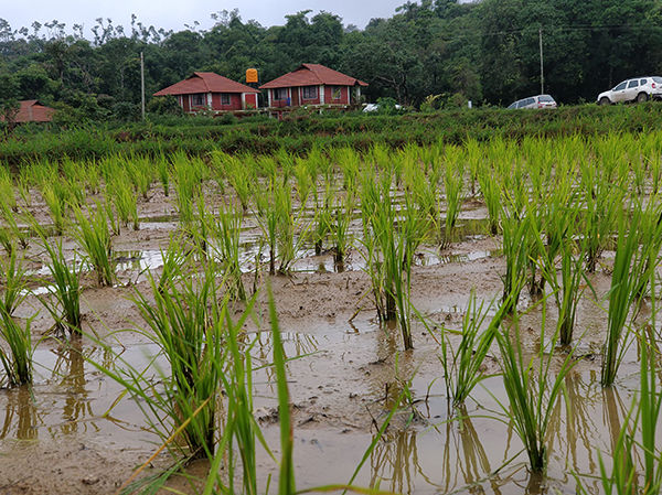 Photo of Sakleshpur, Karnataka, India by Rahul Kumar