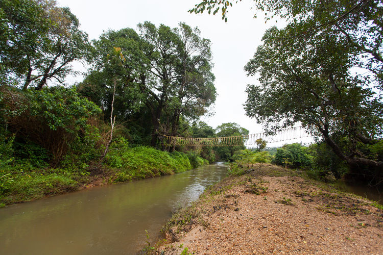 Photo of Sakleshpur, Karnataka, India by Rahul Kumar