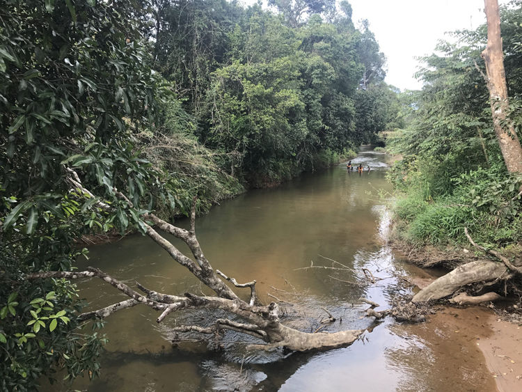 Photo of Sakleshpur, Karnataka, India by Rahul Kumar