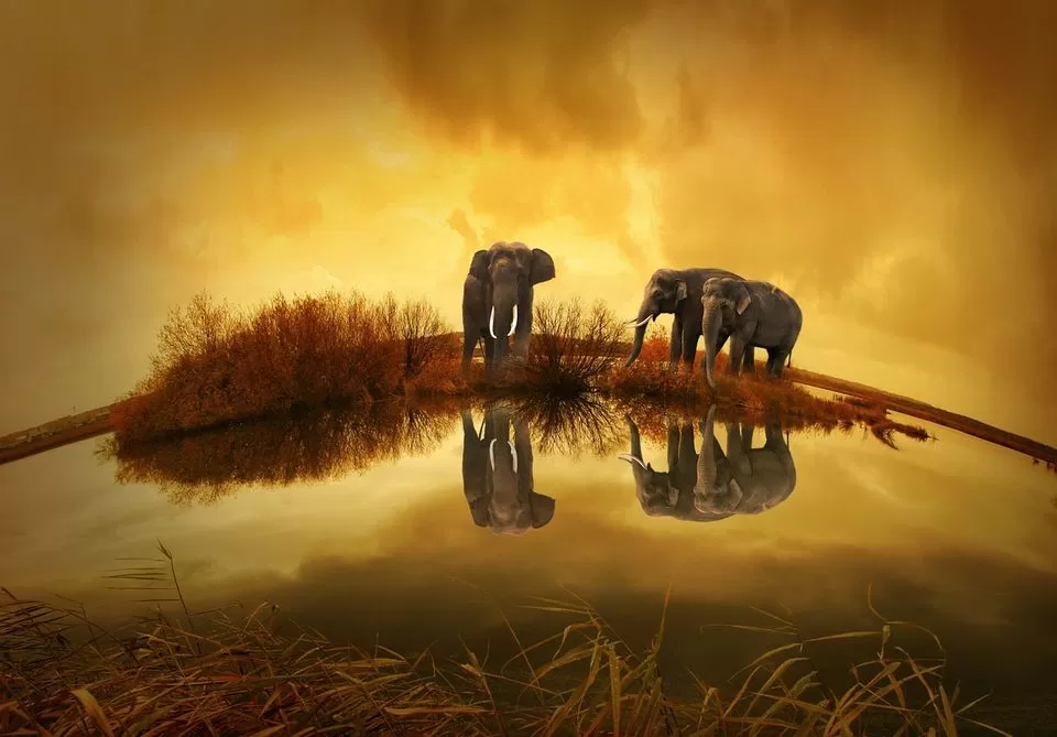 Photo of Thailand by Varun Suchday
