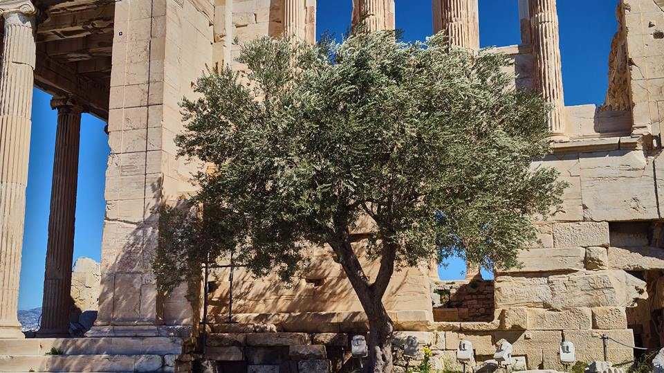 Photo of 18 Days Solo Backpacking Across Greece by Solo Traveler Nafeesa
