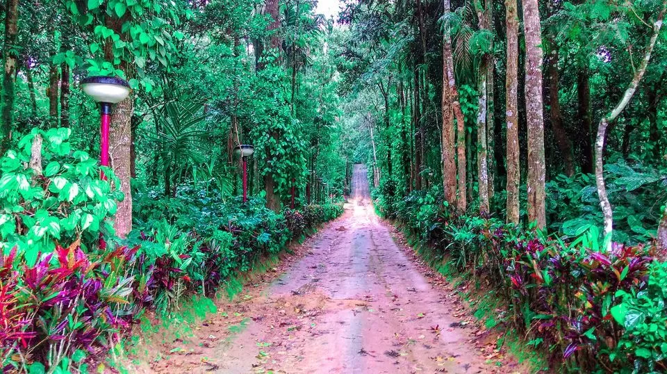 Photo of Capitol Village, Madikeri, Karnataka, India by TheNicologue by Nicole