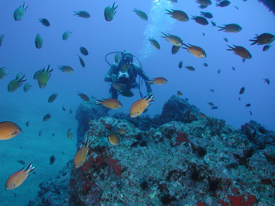 Photo of 9 Thrilling Adventure Activities To Tick Off Of Your Bucket List! by Ishvani Hans
