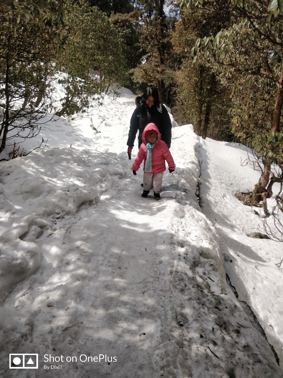 Photo of A Day in Chopta & Rudraprayag by Shwetanshu Dixit