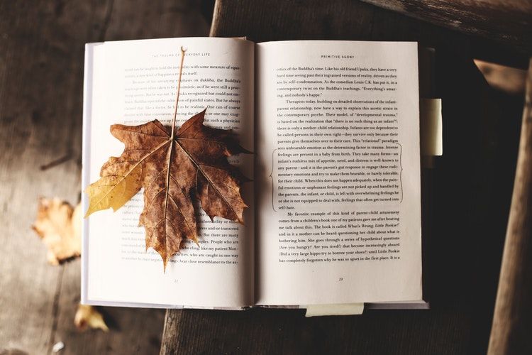Photo of 7 Things That Aren't Worth Packing For A Trip 3/7 by Ishvani Hans