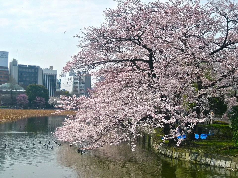 Photo of Tokyo, Japan by Sreshti Verma