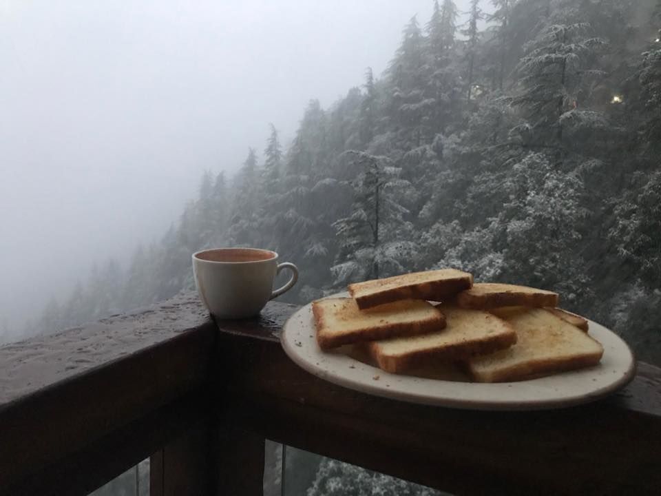 Photo of Cafes In Landour Serving Yummy Food, Including Little Llama Cafe and Cafe Ivy Landour! by Aakanksha Magan