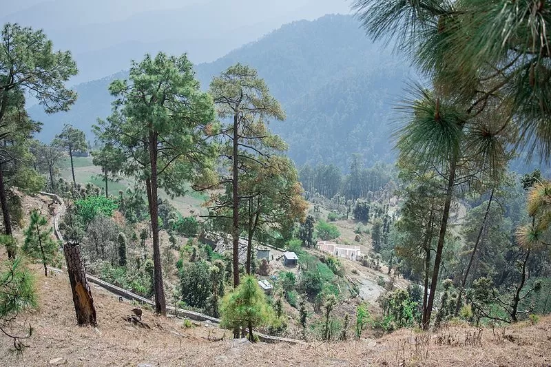 Photo of Binsar, Uttarakhand, India by Aakanksha Magan
