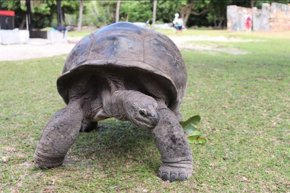 Photo of Seychelles: the hidden treasure by Wanderer_dentist