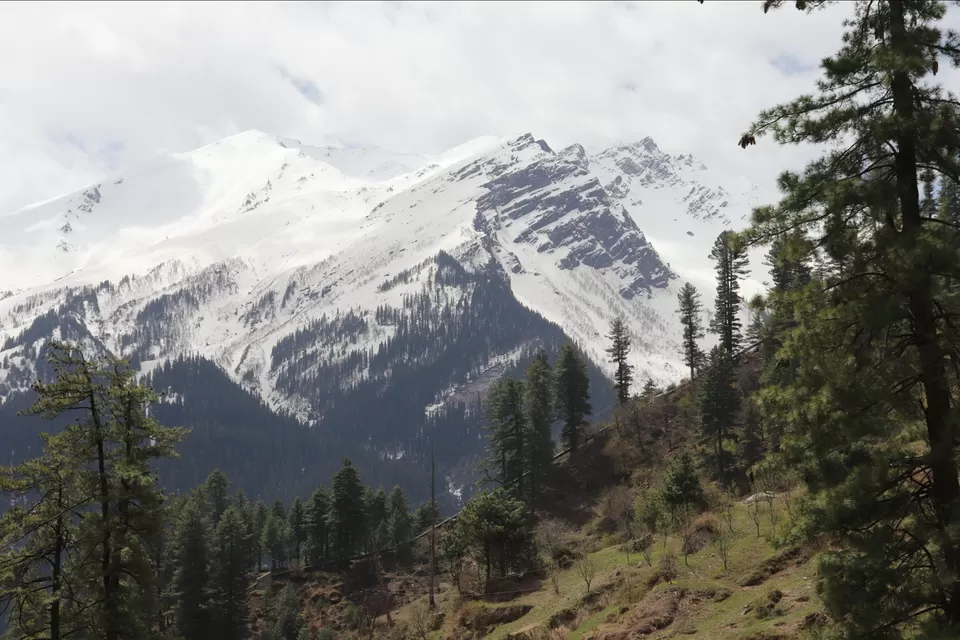 Photo of Why KASOL is Backpacker's paradise by Wanderer_dentist