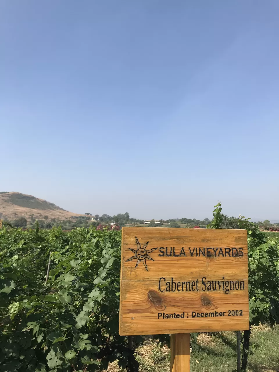 Photo of Sula Vineyards, Nashik, Maharashtra, India by LanesToLove