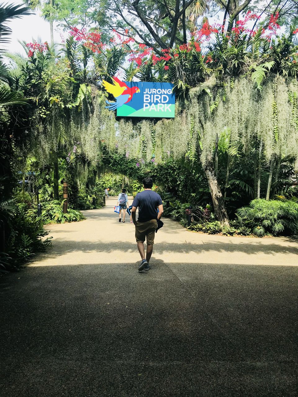 Photo of Jurong Bird Park, Singapore by LanesToLove