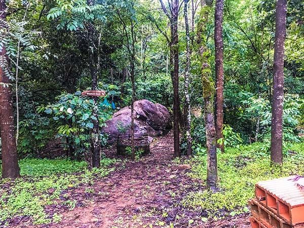 Photo of Banasura Hill Resort, Wayanad, Kerala, India by Aishwarya Iyengar