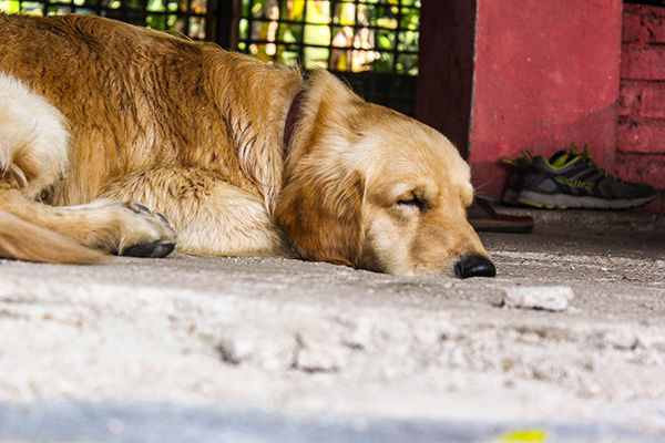 Photo of HIPPIE HAMPI 8/30 by Aishwarya Iyengar