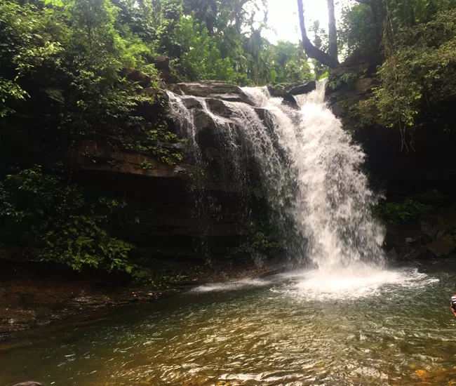 Photo of ByneKaadu, Chikkamagaluru, Karnataka, India by Aishwarya Iyengar