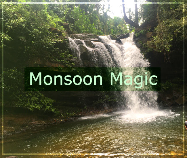 Photo of Best Homestay to visit in Chickmangluru - Bynekadu 1/1 by Aishwarya Iyengar