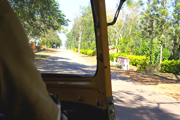 Photo of Kemmangundi - the less travelled abode of the calmness by Aishwarya Iyengar