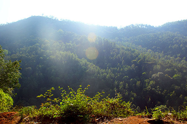 Photo of Kemmangundi - the less travelled abode of the calmness by Aishwarya Iyengar