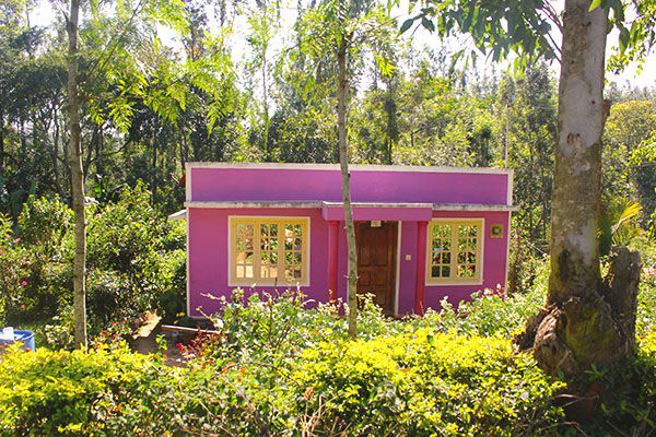 Photo of Kemmangundi - the less travelled abode of the calmness by Aishwarya Iyengar