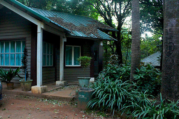 Photo of Kemmangundi - the less travelled abode of the calmness by Aishwarya Iyengar