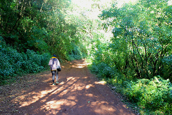 Photo of Kemmangundi - the less travelled abode of the calmness by Aishwarya Iyengar