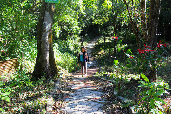Photo of Kemmangundi - the less travelled abode of the calmness by Aishwarya Iyengar