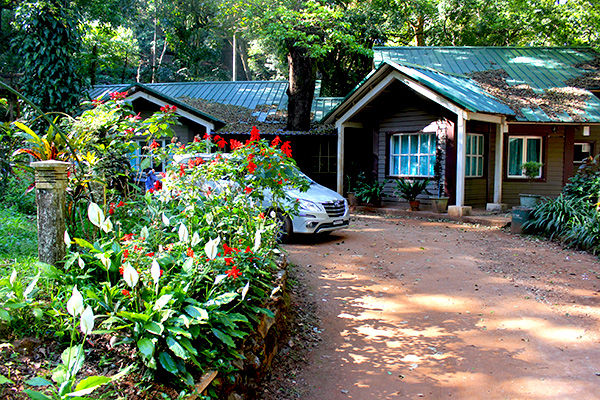 Photo of Kemmangundi - the less travelled abode of the calmness by Aishwarya Iyengar