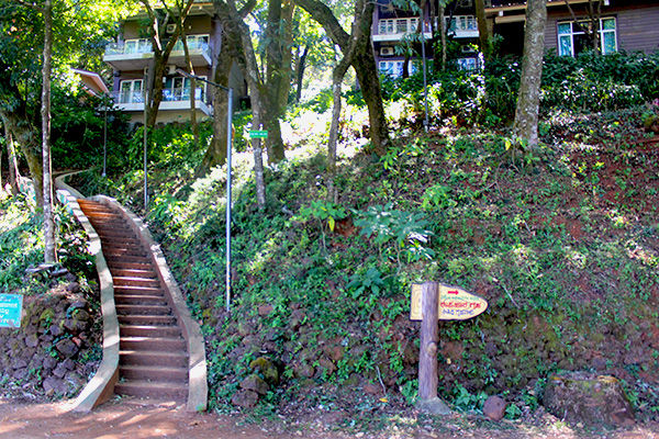 Photo of Kemmangundi - the less travelled abode of the calmness by Aishwarya Iyengar