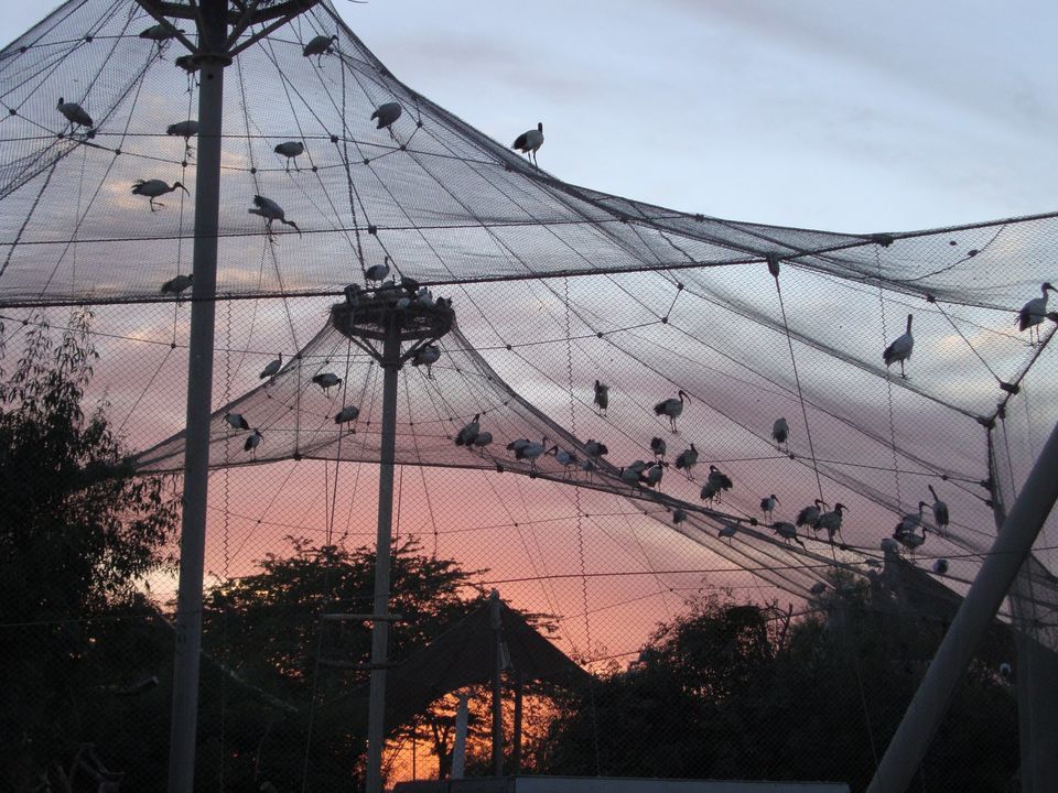 Photo of Insider’s Guide as a Single Female Expat and Traveller in Abu Dhabi by Jacquelyn Sit