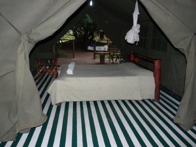 Photo of The Wonder of Maasai Mara(The Value of Exeperience) 11/12 by Kawira Kigunda