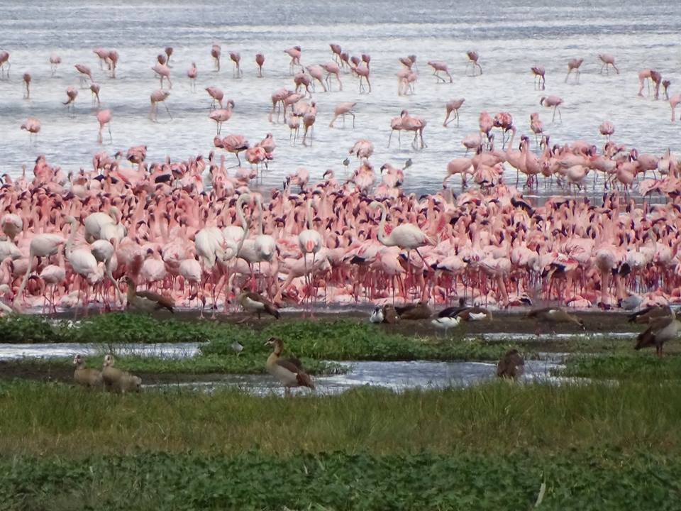 Photo of Kenya Budget Safari 1/3 by Kawira Kigunda