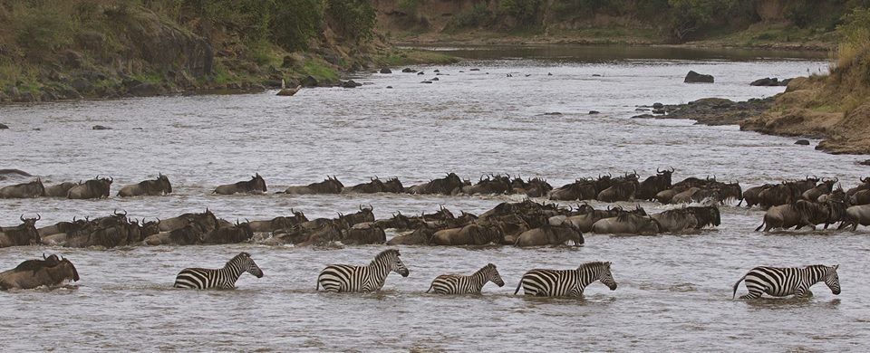 Photo of Kenya Budget Safari 2/3 by Kawira Kigunda