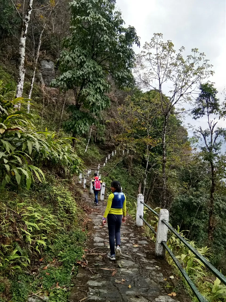 Photo of Bermiok Martam, Sikkim, India by Ayan Sadhu