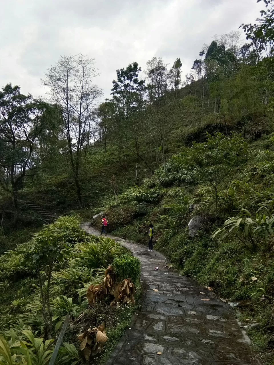 Photo of Bermiok Martam, Sikkim, India by Ayan Sadhu