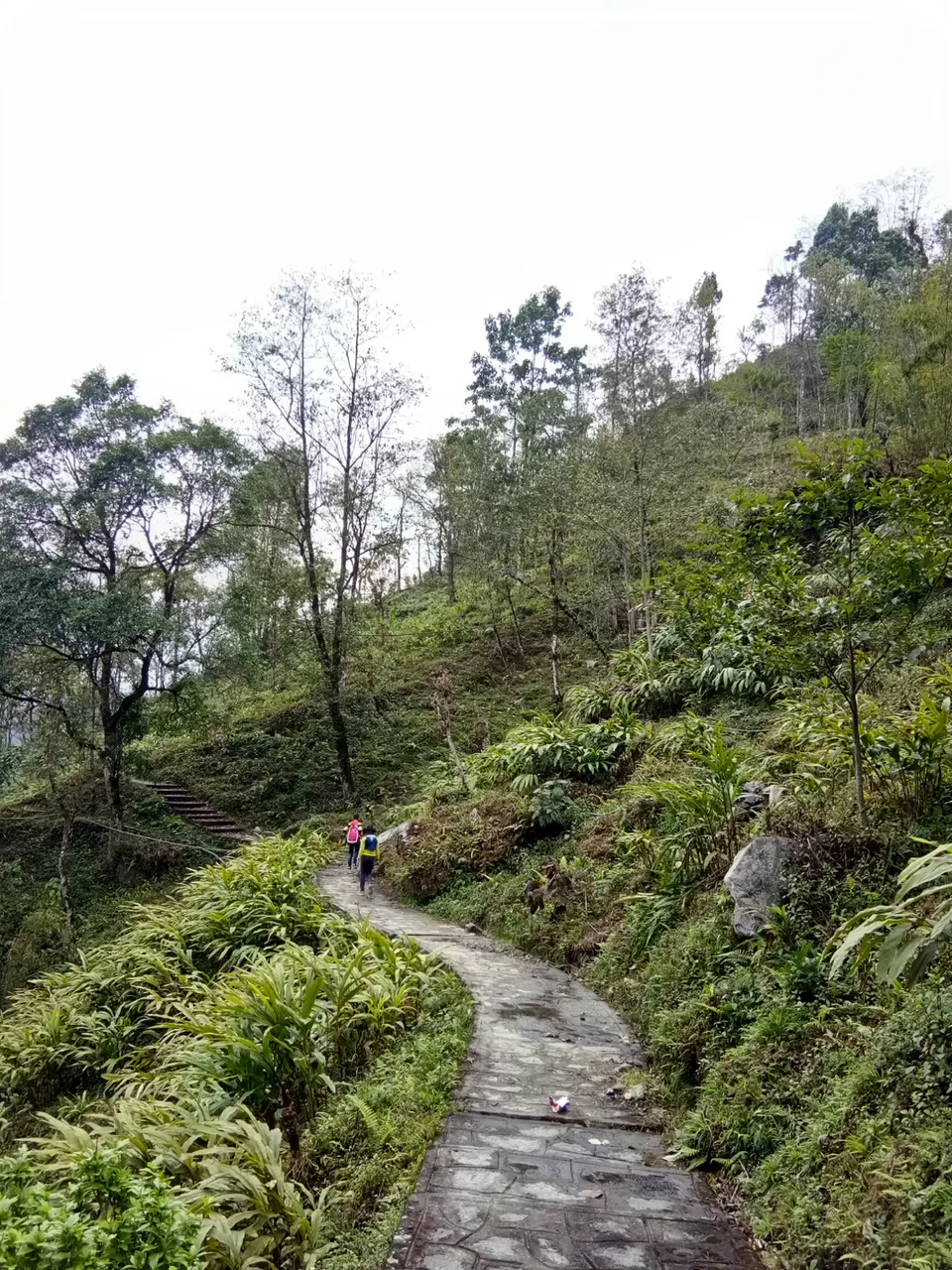 Photo of Bermiok Martam, Sikkim, India by Ayan Sadhu