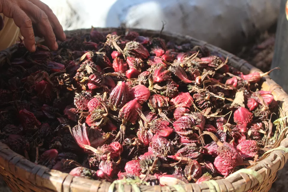 Photo of Sangu, Nepal by Debojyoti Dey 