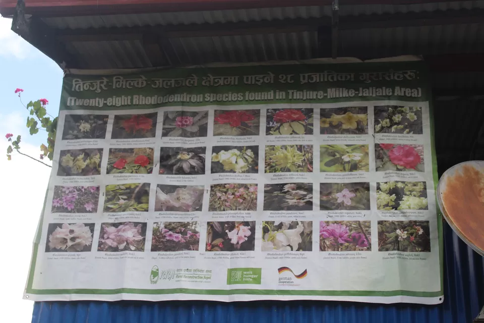 Photo of Sangu, Nepal by Debojyoti Dey 