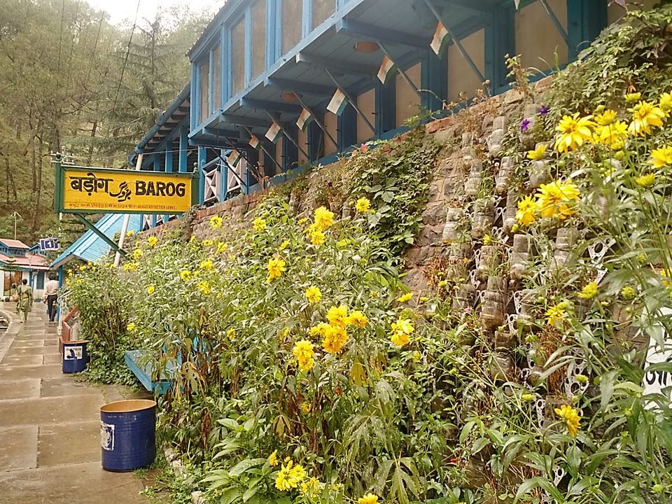 Photo of Postcards from Barog by Shilpi