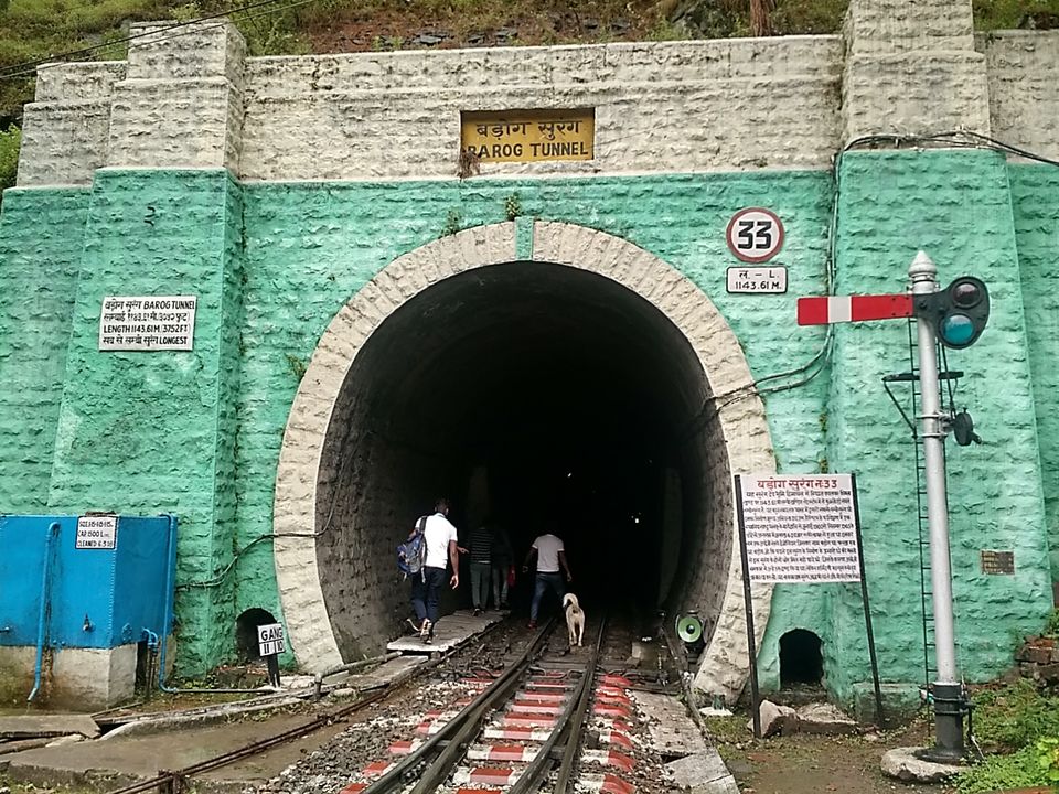Photo of Postcards from Barog by Shilpi