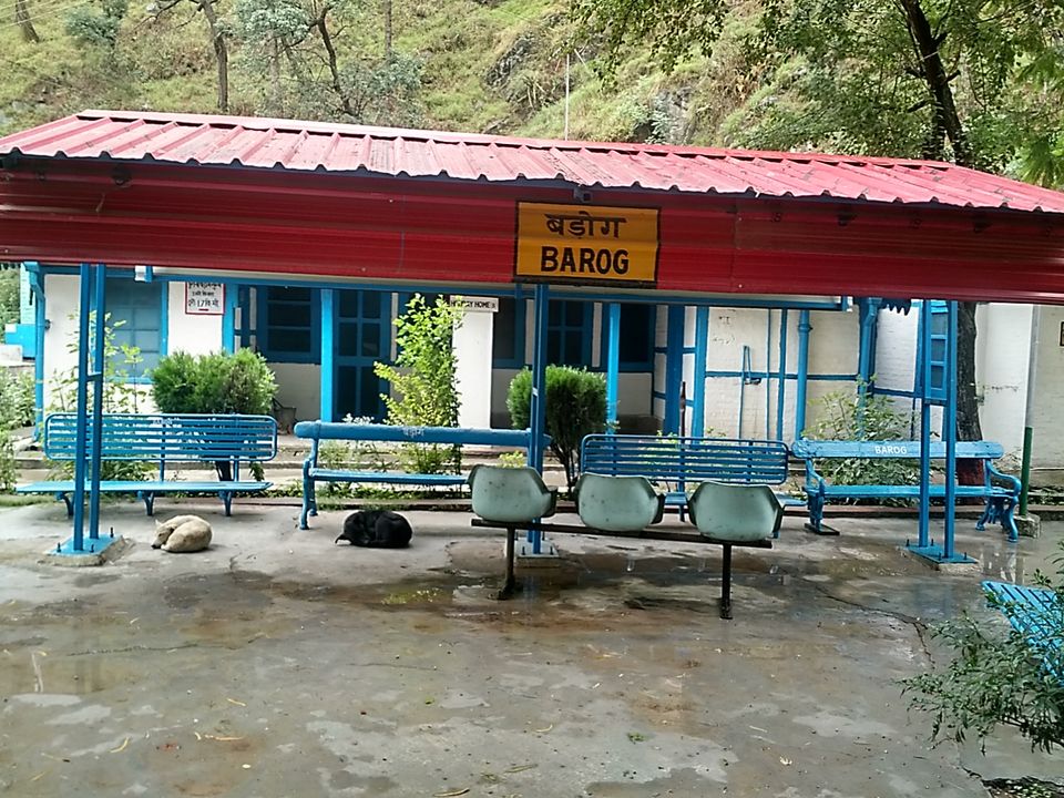 Photo of Postcards from Barog by Shilpi