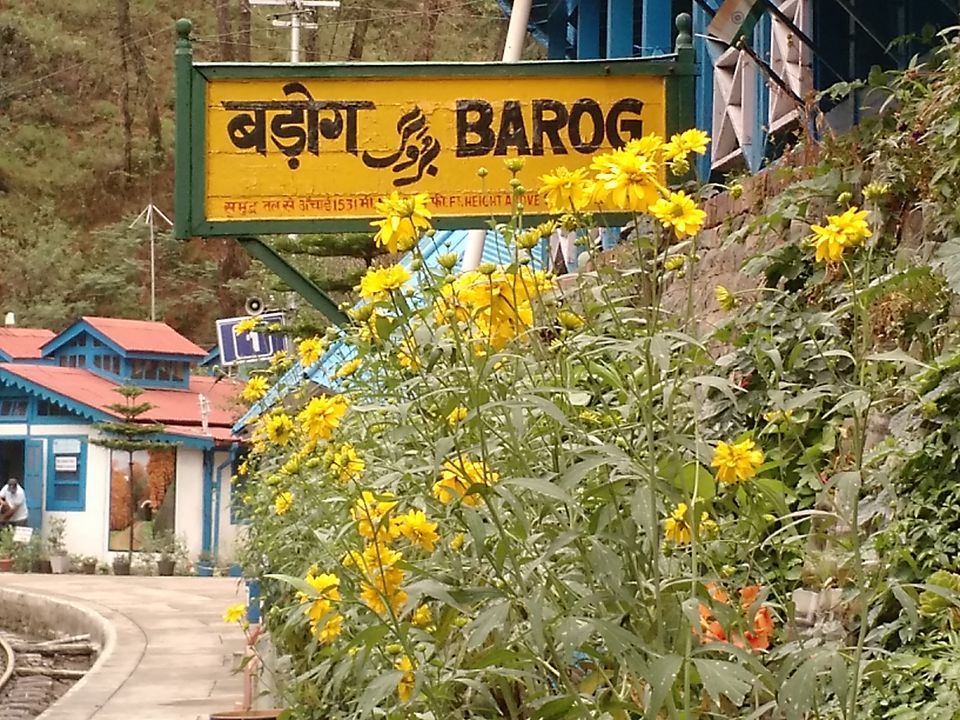 Photo of Postcards from Barog by Shilpi