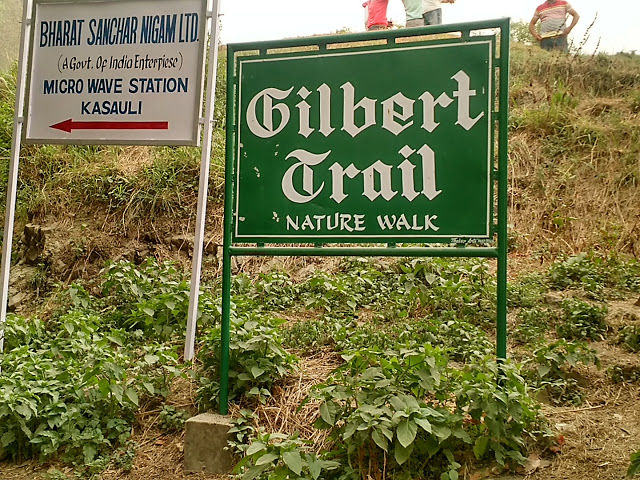 Photo of Weekend trip to Kasauli by Shilpi