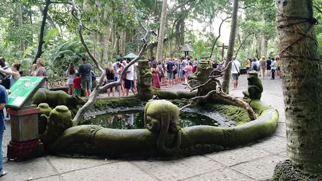 Photo of The sacred monkey forest in Bali by Shilpi
