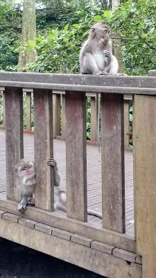 Photo of Sacred Monkey Forest Sanctuary, Jalan Monkey Forest, Ubud, Gianyar, Bali, Indonesia by Shilpi