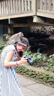 Photo of Sacred Monkey Forest Sanctuary, Jalan Monkey Forest, Ubud, Gianyar, Bali, Indonesia by Shilpi