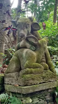Photo of The sacred monkey forest in Bali by Shilpi