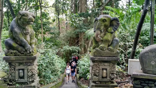 Photo of The sacred monkey forest in Bali by Shilpi